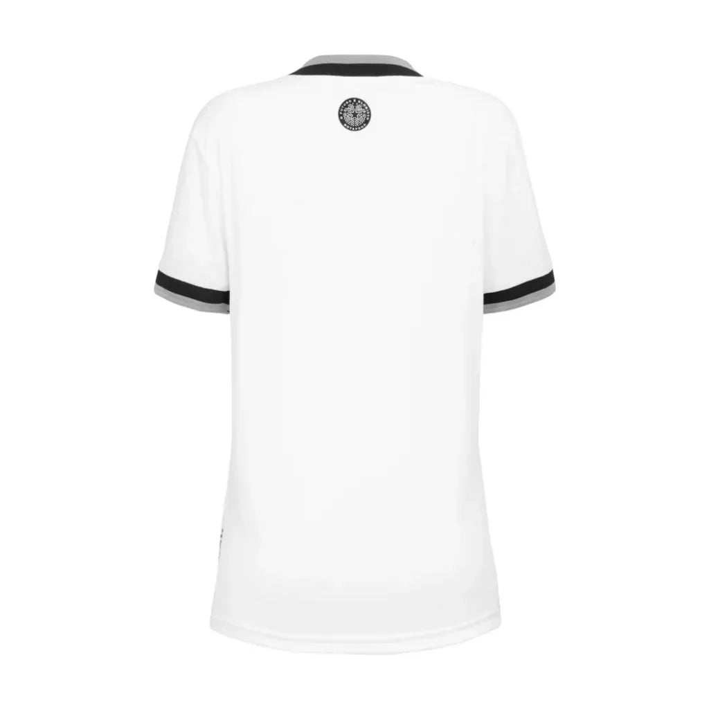 Botafogo third 24/25