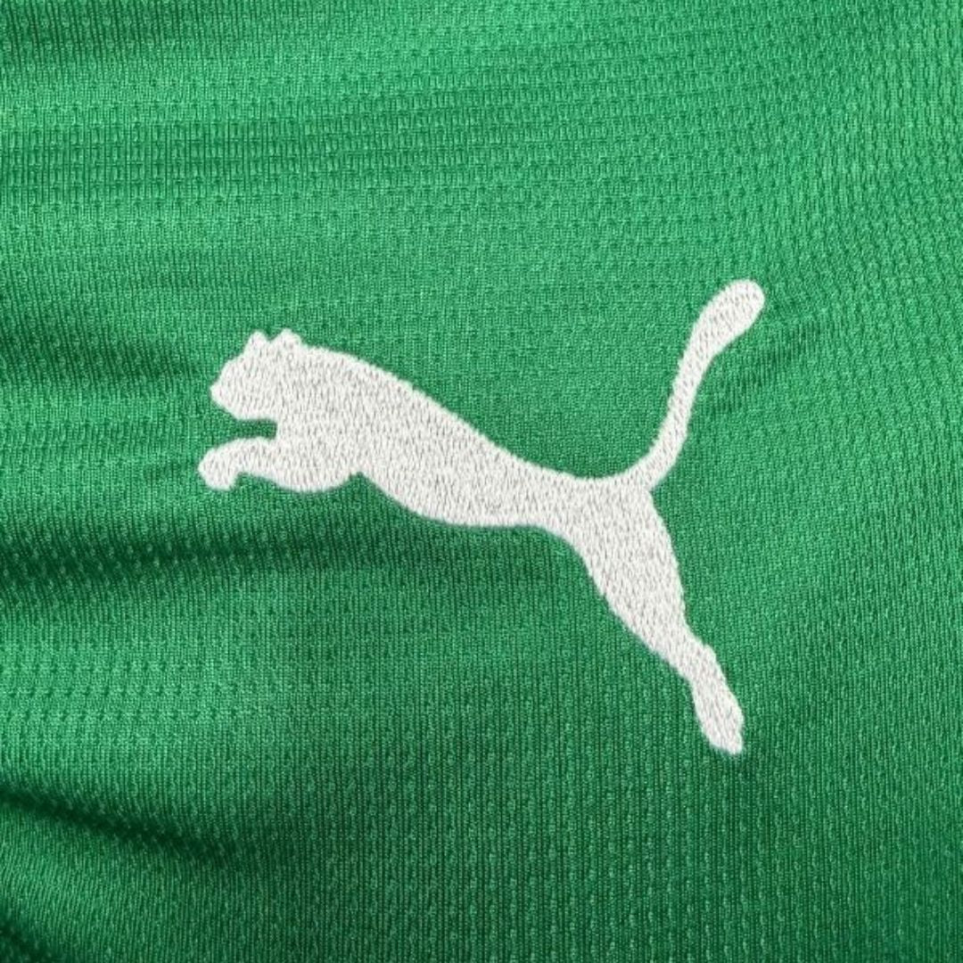 Palmeiras home 2026/27 - Fan Jersey