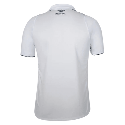 Grêmio away 24/25 