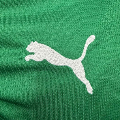 Palmeiras home 2026/27 - Fan Jersey - All Sponsors