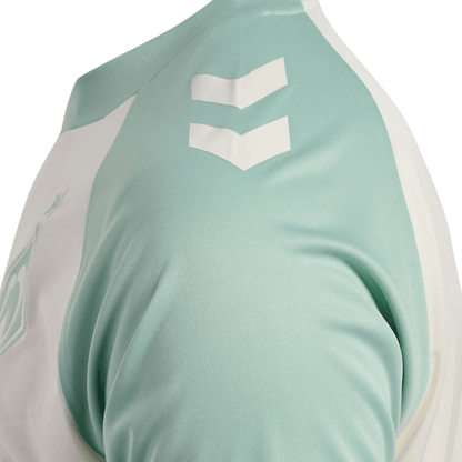 Werder Bremen away 24/25 