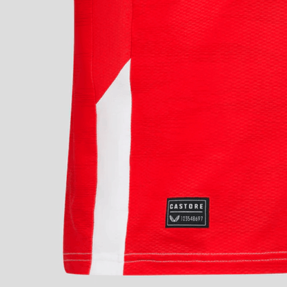 Feyenoord home 24/25 