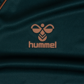Werder Bremen tercero 24/25 
