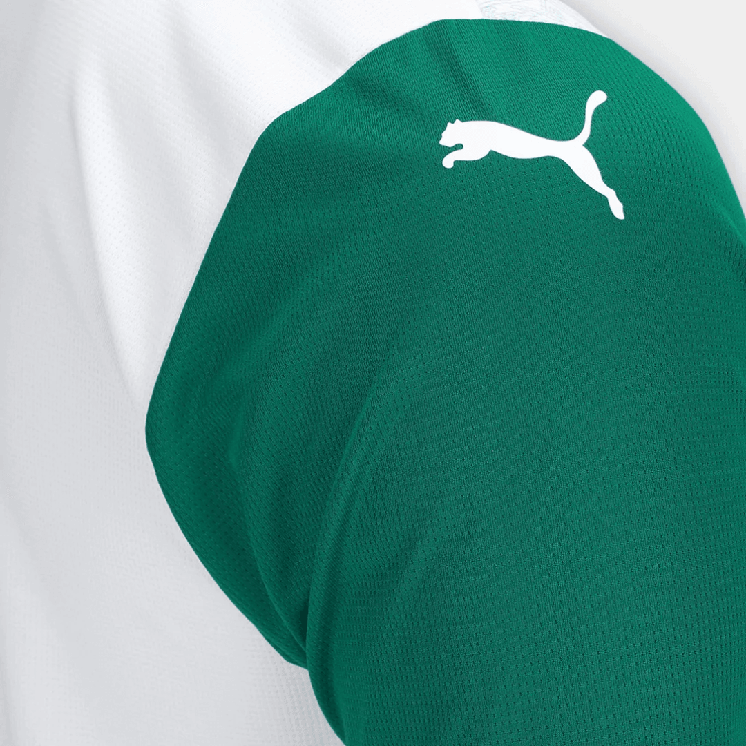 LANÇAMENTO Camisa Palmeiras away 25/26