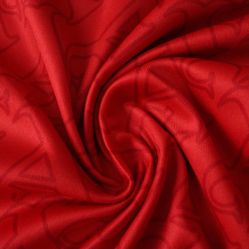 Arsenal Home Jersey 2025/26 Long Sleeve