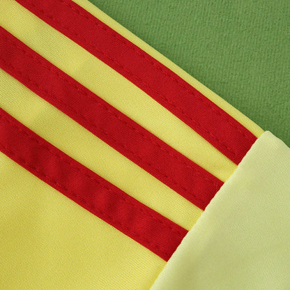 Arsenal Goalkeeper Jersey 2025/26